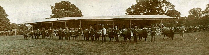 Devon County Agricultural Show in Pilton House Park 1900