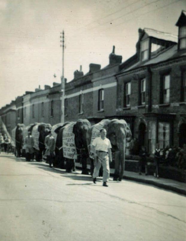 When the Circus Paraded in Rolle Street in 1953