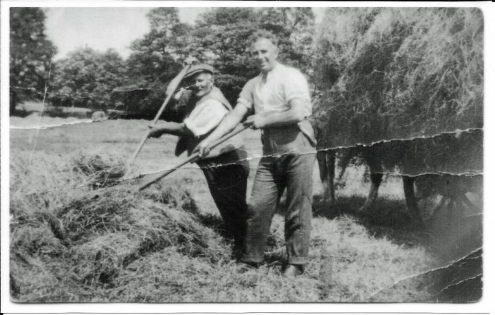Haymaking on Pathfield in about 1926